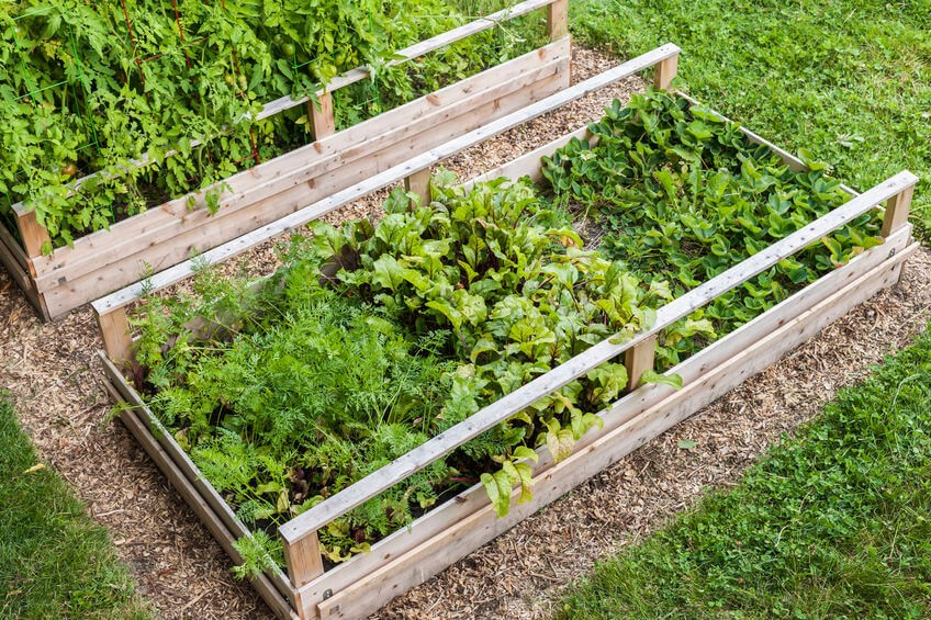Prepare Raised Beds