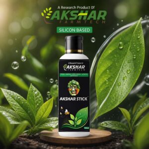 Akshar Stick